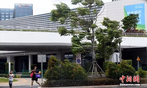 Tính đến 19 giờ tối 24/8, sân bay Hạ Môn ở Phúc Kiến đã phải huỷ bỏ 159 chuyến bay. Ảnh: THX.