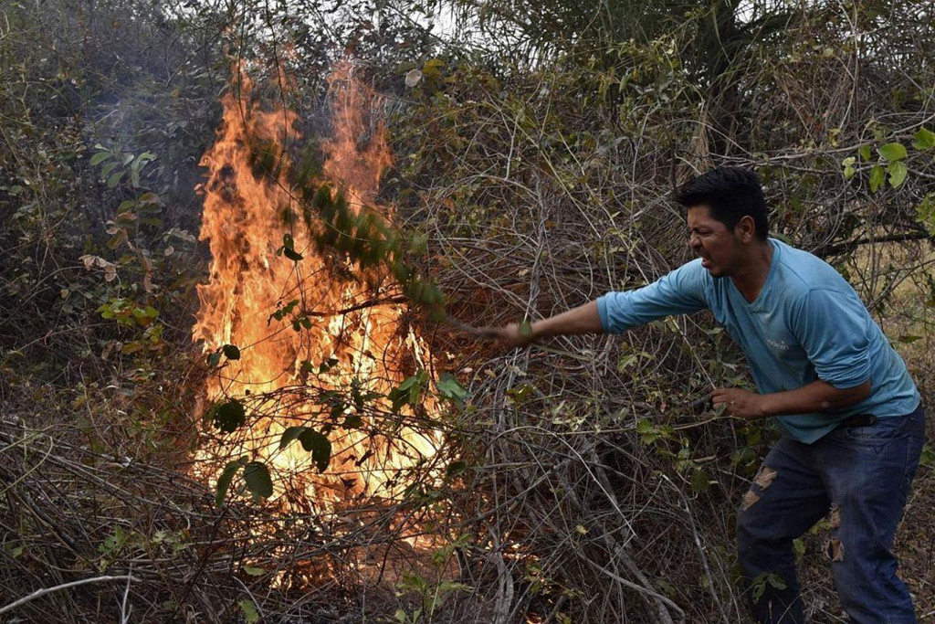 Một tình nguyện viên đang cố gắng dập lửa ở phía đông Bolivia ngày 25/8. Chính sách ủng hộ doanh nghiệp của tổng thống Brazil đã cổ xúy nông dân, thợ mỏ và lâm tặc tiến sâu hơn vào các cánh rừng Amazon, theo Carlos Rittl, Tổng thư ký tổ chức Đài quan sát Khí hậu. Ảnh: AFP.