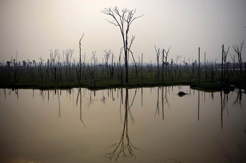 Từng xanh tốt và đầy sức sống, nhiều diện tích rừng Amazon giờ đây đã trơ trụi đến mức không thể nhận ra. Đây là nơi sinh sống của khoảng 3 triệu loài thực vật và động vật cùng 1 triệu người bản địa, thuộc 400-500 bộ lạc, trong đó khoảng 50 bộ lạc chưa bao giờ tiếp xúc với thế giới bên ngoài. Ảnh: AFP.