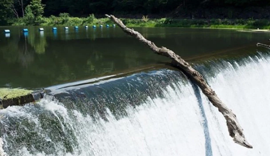 Bức ảnh này chụp đúng khoảnh khắc cành cây sắp bị rơi xuống thác nước.