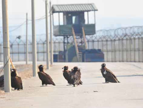 Về mặt kỹ thuật, hai miền Triều Tiên vẫn đang trong tình trạng chiến tranh vì chiến tranh kết thúc bằng một hiệp định đình chiến, chứ không phải là một hiệp ước hòa bình.