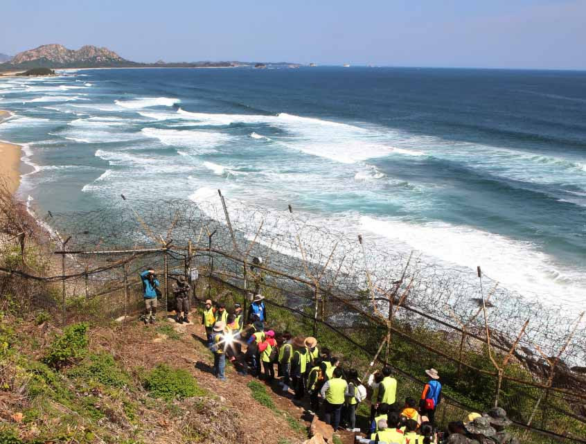 Có những đoạn du khách đi qua, hai hàng rào song song cao cạnh nhau, ngoài kia là bãi biển hoang sơ. Bướm và chuồn chuồn bay lượn nhẹ nhàng trên đầu, còn bên dưới là những con sóng miệt mài nhịp điệu không ngừng nghỉ.