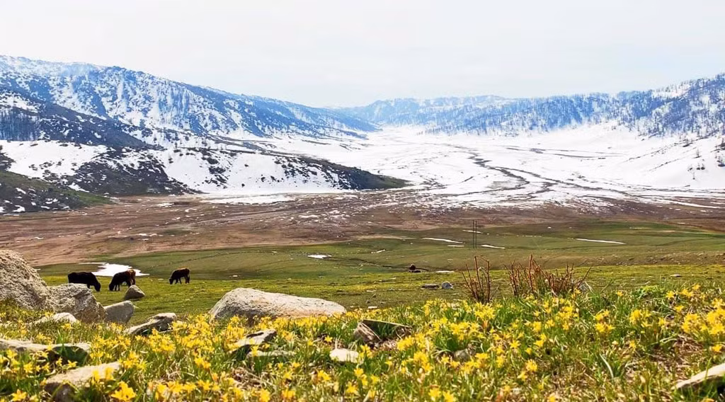 Bat mi thu vi vung dat san sinh cac 