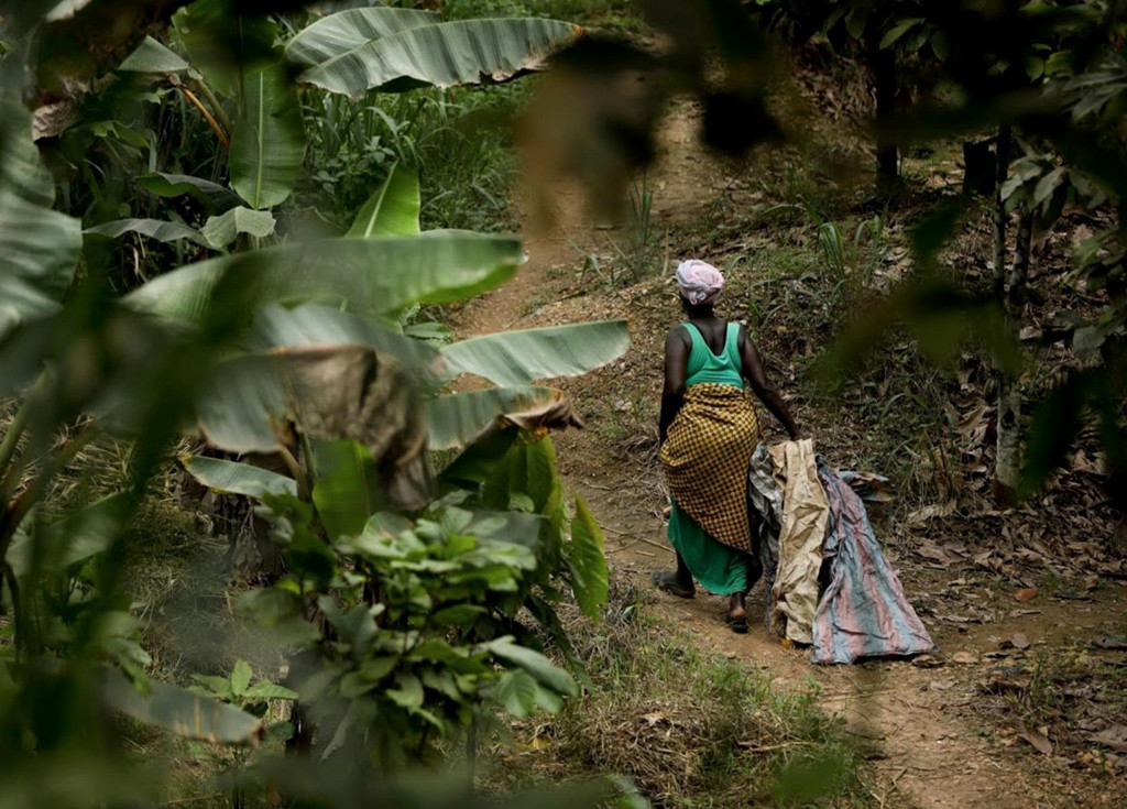 Nhin lai qua khu dau xot ve buon ban no le Chau Phi-Hinh-6