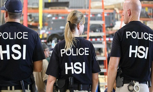 Viet Nam phoi hop canh sat My bat nghi pham au dam