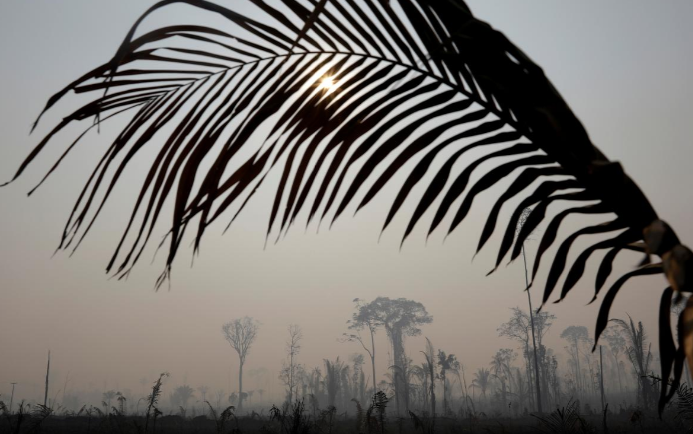 Khói mù mịt bao trùm khu rừng ở Porto Velho. Ảnh: Reuters.
