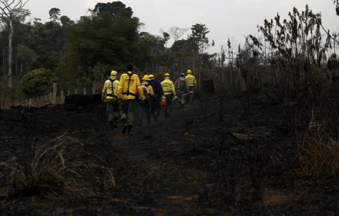 Lực lượng cứu hỏa lên đường làm nhiệm vụ, dập tắt đám cháy rừng ở Porto Velho ngày 25/8. Ảnh: Reuters.