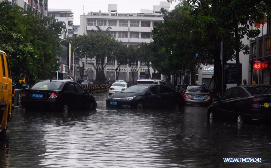 Bao Wipha do bo Trung Quoc, duong pho chim trong bien nuoc-Hinh-2