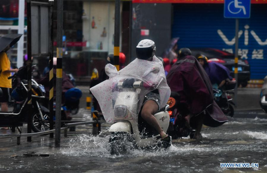 Bao Wipha do bo Trung Quoc, duong pho chim trong bien nuoc-Hinh-6