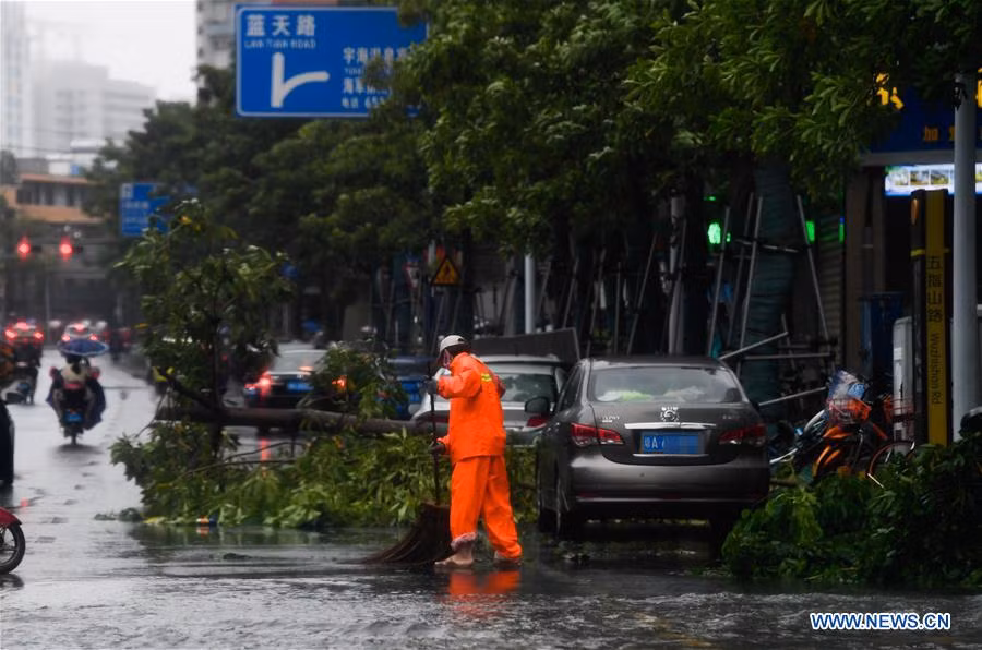 Bao Wipha do bo Trung Quoc, duong pho chim trong bien nuoc-Hinh-10