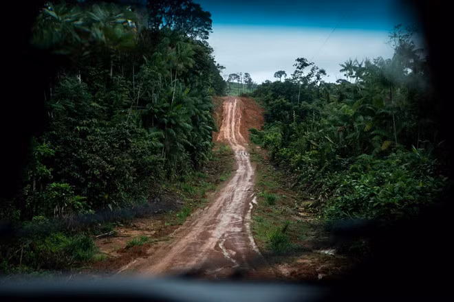 Vi sao cuoc song cac bo lac Brazil ven song Amazon bi de doa?-Hinh-2