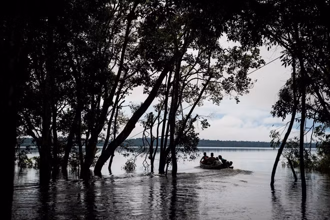 Vi sao cuoc song cac bo lac Brazil ven song Amazon bi de doa?