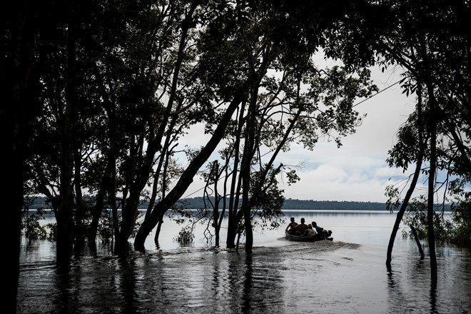 Tổng thống Brazil Jair Bolsonaro hứa hẹn phát triển kinh tế, trọng tâm dự án của ông Bolsonaro là xây dựng đập thủy điện trên sông Amazon và các nhánh phụ của nó để khai thác điện giá rẻ và đảm bảo. Khi quốc gia lớn nhất Mỹ Latin phải vật lộn với sự đình trệ kinh tế kéo dài, tiềm năng của Amazon ngày càng hấp dẫn, ngay cả khi các nhà khoa học cảnh báo rằng sự phát triển sẽ đẩy nhanh nạn phá rừng.