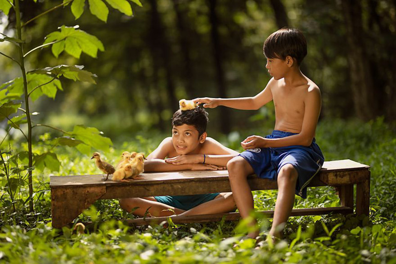 Có những khi bình yên cũng là một tên gọi khác của niềm vui trong bức ảnh chụp 2 cậu bé Indonesia cùng những chú vịt con.