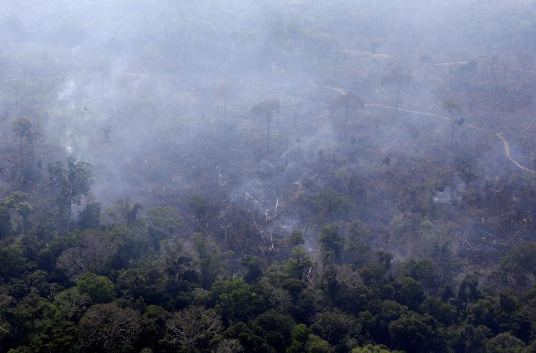 Theo số liệu thống kê, hơn 1.600 đám cháy mới xuất hiện trong hai ngày 26-27/8. Tính đến thời điểm hiện tại trong năm nay, tổng số đám cháy ở Brazil đã lên tới hơn 80.000 và khoảng một nửa trong số đó xảy ra tại vùng Amazon.