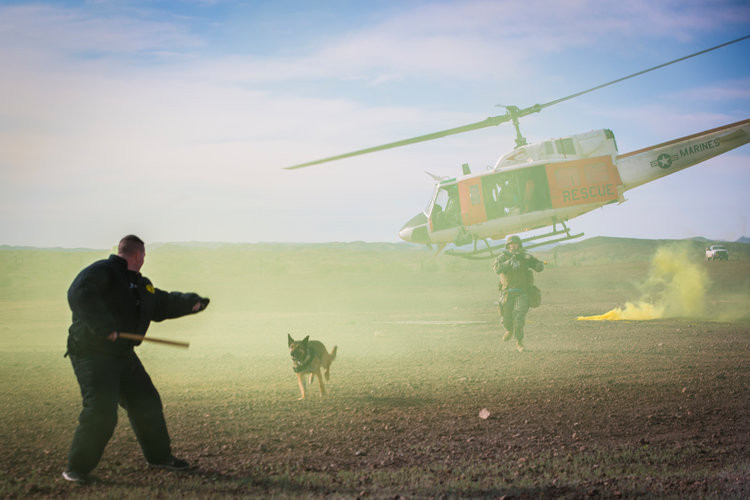 Do đây đều là những loại chó cực kỳ thông minh nên ngay khi chủ của chúng bị thương hay bị hy sinh sau khi làm nhiệm vụ, những chú chó này sẽ được cho về hưu ngay lập tức vì chúng chắc chắn không chịu hợp tác với bất cứ người chủ mới nào. Ảnh: Chó nghiệp vụ Mỹ được huấn luyện kỹ năng đổ bộ bằng đường không tấn công đối tượng. Nguồn ảnh: BI.