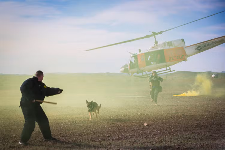 Do đây đều là những loại chó cực kỳ thông minh nên ngay khi chủ của chúng bị thương hay bị hy sinh sau khi làm nhiệm vụ, những chú chó này sẽ được cho về hưu ngay lập tức vì chúng chắc chắn không chịu hợp tác với bất cứ người chủ mới nào. Ảnh: Chó nghiệp vụ Mỹ được huấn luyện kỹ năng đổ bộ bằng đường không tấn công đối tượng. Nguồn ảnh: BI.