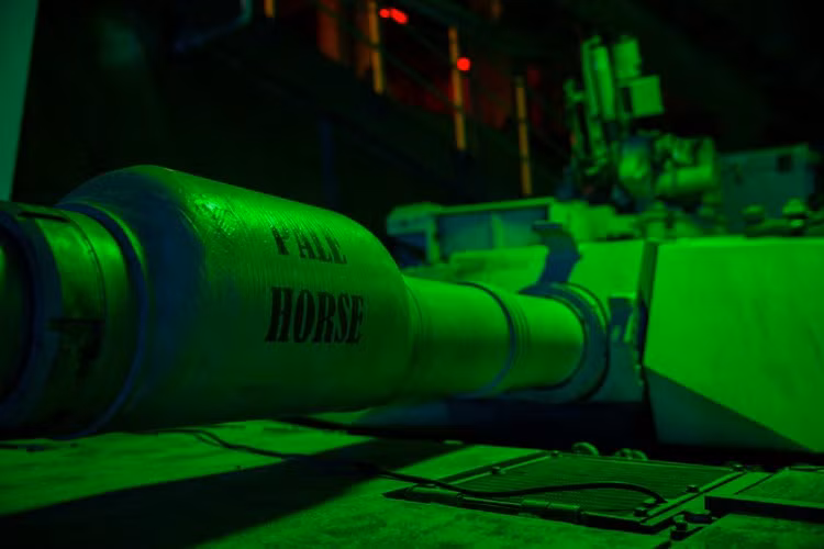 Sơ tốc đầu đạn của khẩu pháo này vào khoảng từ 1580 mét/giây cho tới tối đa 1750 mét/giây tuỳ vào phiên bản và chiều dài nòng súng. Nguồn ảnh: BI.