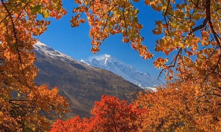 Nơi đây hàng ngàn năm qua không có người ung thư, phụ nữ 60-90 tuổi vẫn sinh nở.