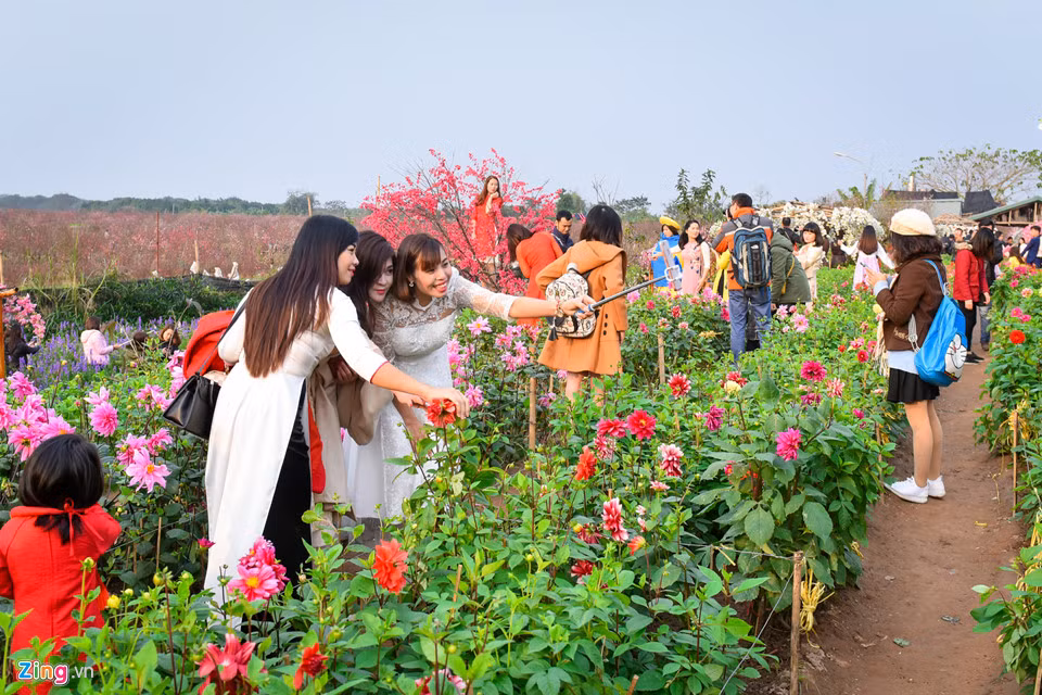 Những ngày cuối năm, đặc biệt là dịp cuối tuần, hàng nghìn bạn trẻ đến vườn hoa ở Nhật Tân để vui chơi, chụp ảnh.