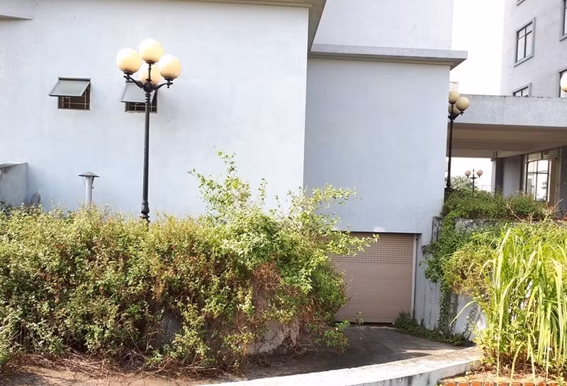 Cỏ mọc um tùm xung quanh tòa nhà. Ảnh: Infonet.