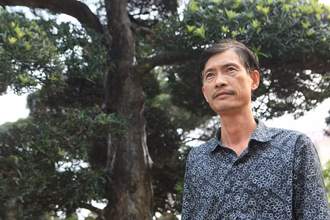 Ông Vũ Xuân Lành (người quản lý vườn tùng) cho biết, toàn bộ những cây tùng ở đây được nhập khẩu từ Nhật Bản, đi đường biển về Việt Nam. Vườn cây được hình thành cách đây gần 5 năm, hiện trong vườn có khoảng vài trăm cây.