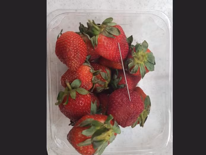 Vụ khủng hoảng kim trong trái dâu tây đã gây chấn động khắp 6 tiểu bang trên đất nước này. Ảnh: The Independent.