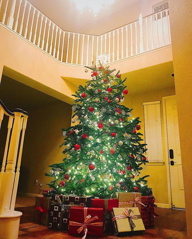 Ngoài cây thông, Hoa hậu Phạm Hương còn chuẩn bị nhiều món quà đa sắc màu. Ảnh: Tiền phong.