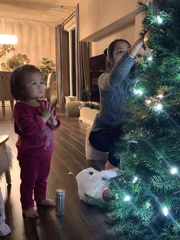 Cây thông Noel rực sáng trong phòng khách nhà Lam Trường. Ảnh: Facebook.