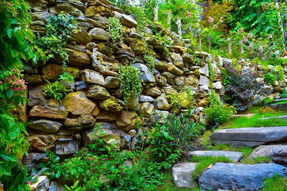 Bên trong biệt thự của Đàm Vĩnh Hưng có một khu vườn khu vườn tuyệt đẹp khiến người hâm mộ phải trầm trồ.