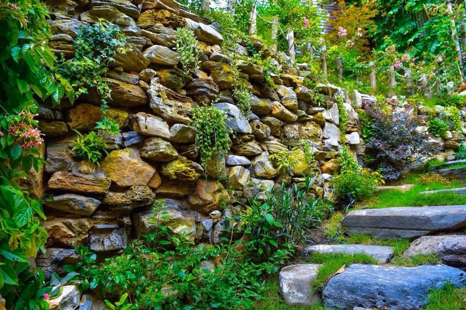 Bên trong biệt thự của Đàm Vĩnh Hưng có một khu vườn khu vườn tuyệt đẹp khiến người hâm mộ phải trầm trồ.