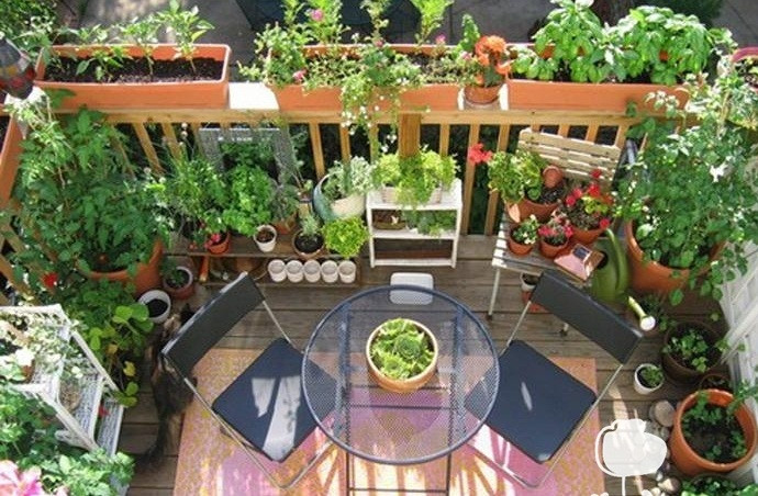  Sử dụng quá nhiều chậu nhỏ. Đây là lỗi thiết kế ban công khiến không gian trở nên lộn xộn. Những chậu nhỏ còn hạn chế cây phát triển, ảnh hưởng đến khả năng ra hoa. Ảnh: Bancongnhadep.