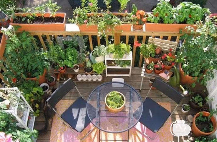  Sử dụng quá nhiều chậu nhỏ. Đây là lỗi thiết kế ban công khiến không gian trở nên lộn xộn. Những chậu nhỏ còn hạn chế cây phát triển, ảnh hưởng đến khả năng ra hoa. Ảnh: Bancongnhadep.