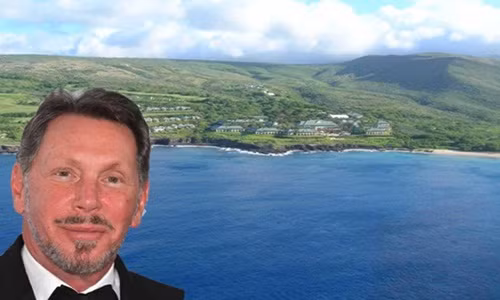 Ty phu hang dau the gioi lam gi trong ky nghi Tet duong lich?