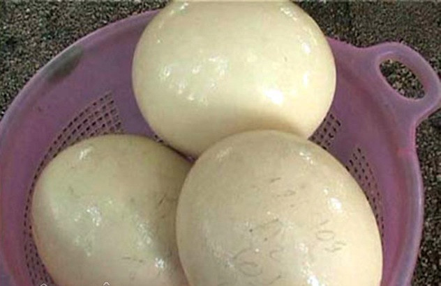 Ngoài thịt đà điểu, Vính bán thêm trứng với giá 150.000 đồng/quả (trứng thịt) và 450.000 đồng/quả (có phôi) để ấp nở. Ảnh: Dân Việt.