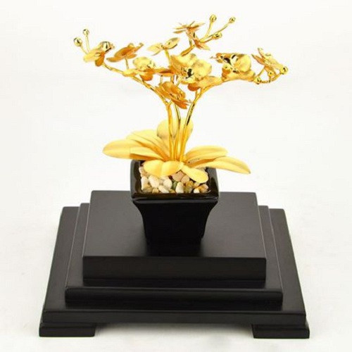 Chậu lan 3 cành dát vàng 24K khiến giới cây cảnh thích thú. Ảnh: MT Gold Art.