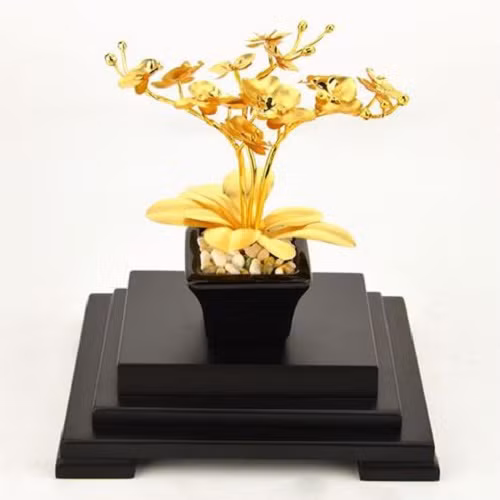 Chậu lan 3 cành dát vàng 24K khiến giới cây cảnh thích thú. Ảnh: MT Gold Art.