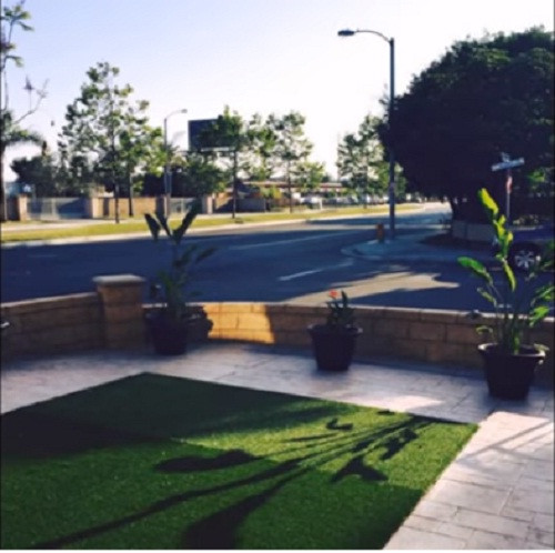 Không gian sân vườn với thảm cỏ xanh mướt. Ảnh: Youtube.