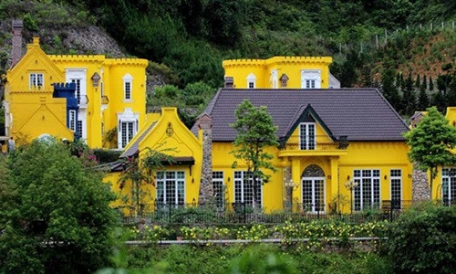 Biệt thự lộng lẫy với màu sắc sặc sỡ mọc trên đất rừng. Ảnh: Vietnamnet.