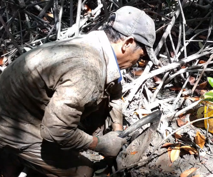 Để đào được sâm, người thợ phải lặn lội nhiều, rất vất vả. Ảnh: Dân Việt.