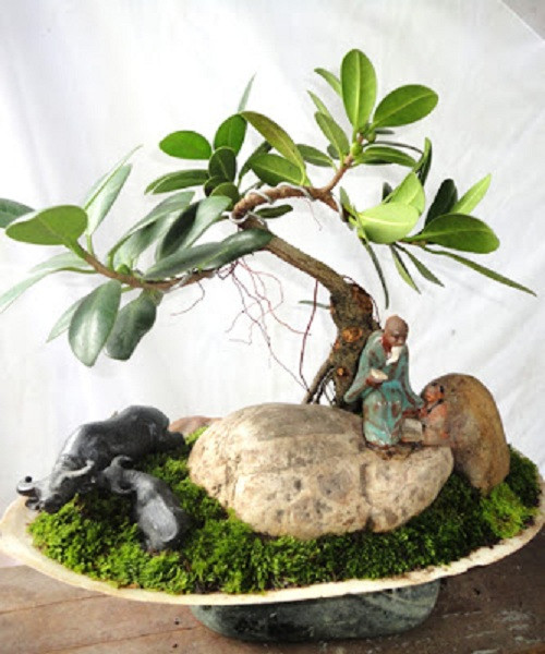 Tiểu cảnh làng quê với cây đa búp đỏ. Ảnh: Internet.