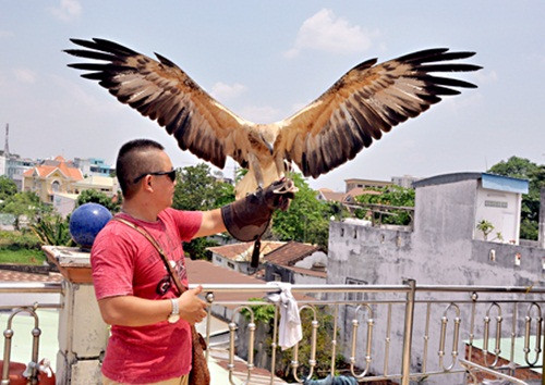 Để phục vụ thú chơi chim đại bàng, người chơi cần trang bị nhiều dụng cụ như găng tay da 3 lớp, bộ buộc dây, bộ chụp móng vuốt, mũ chụp, thiết bị định vị GPS…Ảnh: Baodongnai.