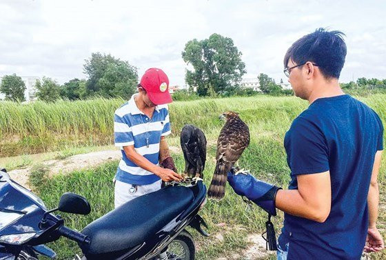 Khi huấn luyện, người chơi phải tìm các bãi đất trống, khu vực có không gian rộng lớn. Ảnh: Daututaichinh.