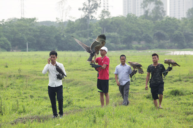 Thậm chí có người còn đầu tư chuồng chim hàng chục mét để loài vật hoang dã này trú ngụ. Ảnh: Dân Việt.
