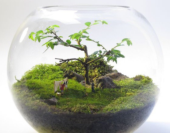 Làng quê yên bình thu nhỏ, thích hợp để bàn làm việc. Ảnh: Cayxinh.