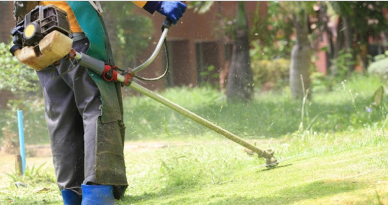 Những tai nạn kinh hoàng từ máy cắt cỏ khiến nó trở thành một trong những công việc nguy hiểm nhất khó lường. Nguồn ảnh: Ehstoday.