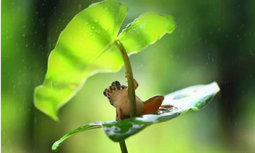 3 cau chuyen tham thuy ve hanh phuc, y nghia cuoc song