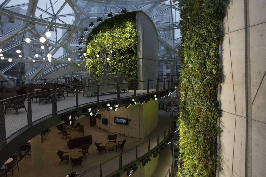 Với 40.000 cây xanh mang về từ khắp nơi trên thế giới, bên trong tòa nhà duy trì nhiệt độ 20-22 độ C, độ ẩm 60%, giúp thư giãn, tạo không gian hội họp, gặp gỡ và quảng bá sự sáng tạo của Amazon.