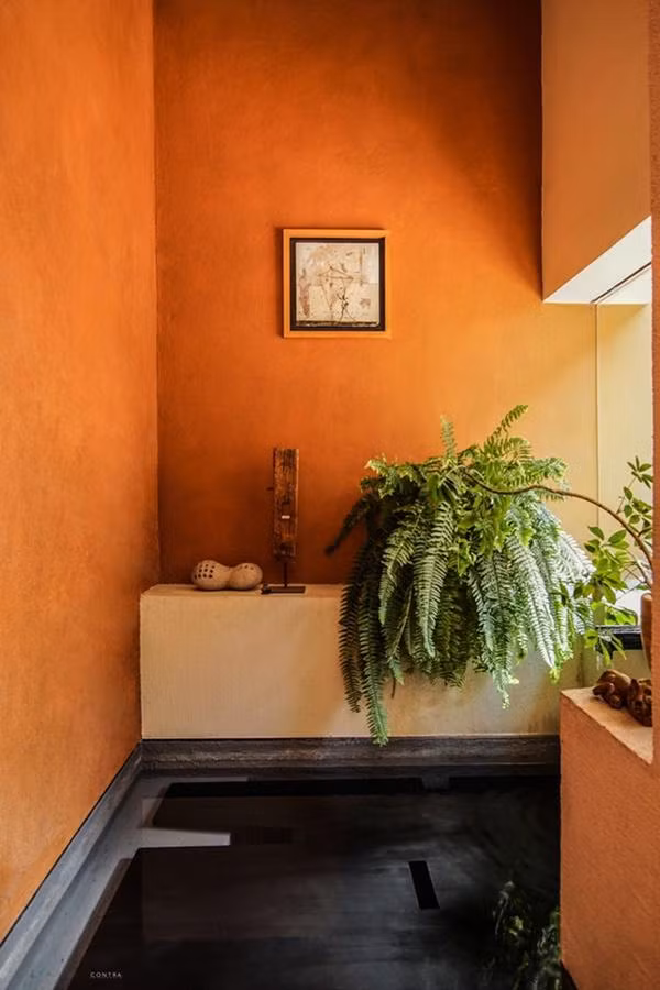 Căn nhà nằm trên thửa đất 290m2 ở Mexico.