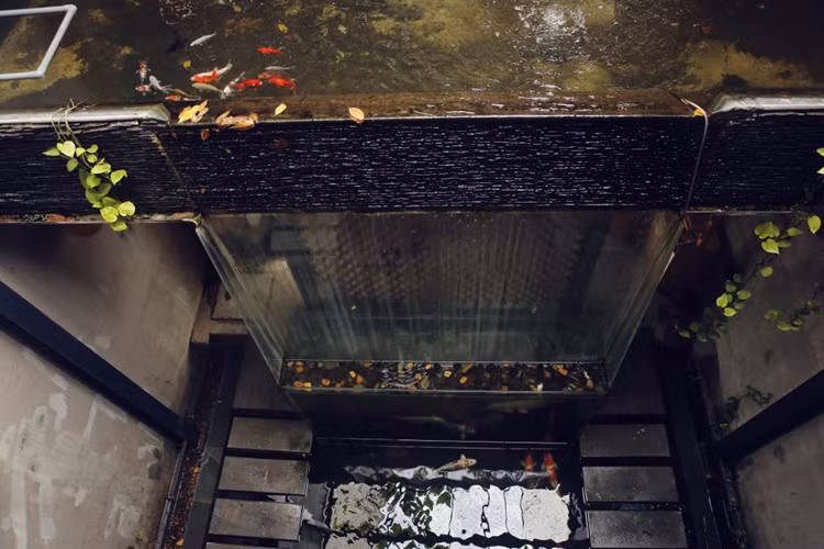 Hành lang nhỏ nhưng được thiết kế một cách tinh tế nên tạo cảm giác ngăn nắp. Nguồn ảnh: Archdaily.